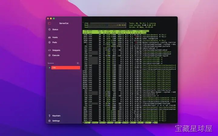 ServerCat - SSH Terminal 截图2