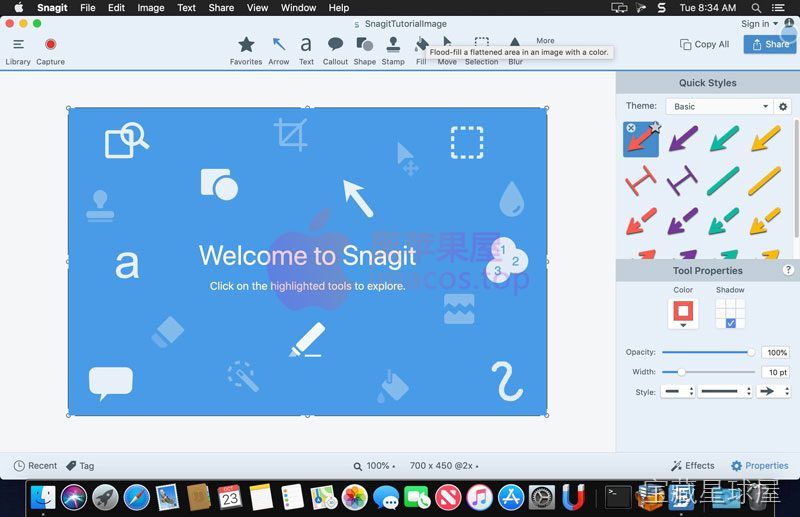 Snagit 截图3