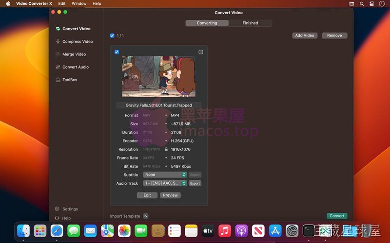 Video Converter X2 截图1
